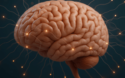 Pourquoi les hypersensibles se sentent souvent « trop » ?